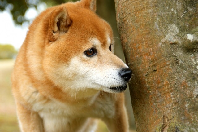 image00