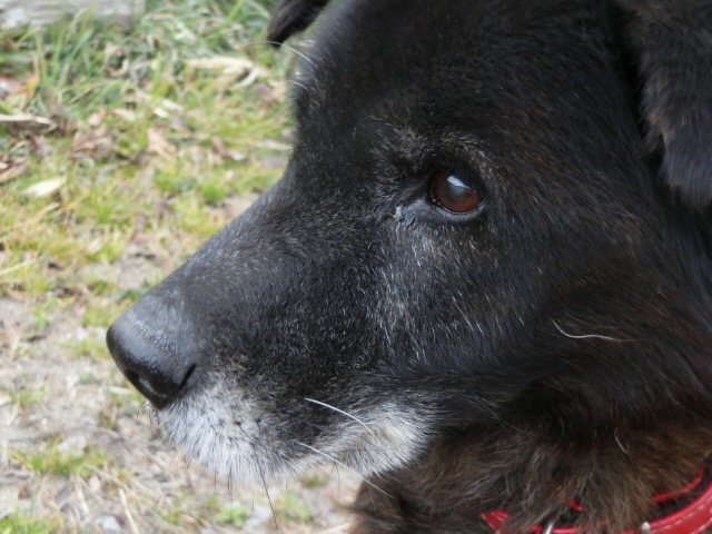 image02